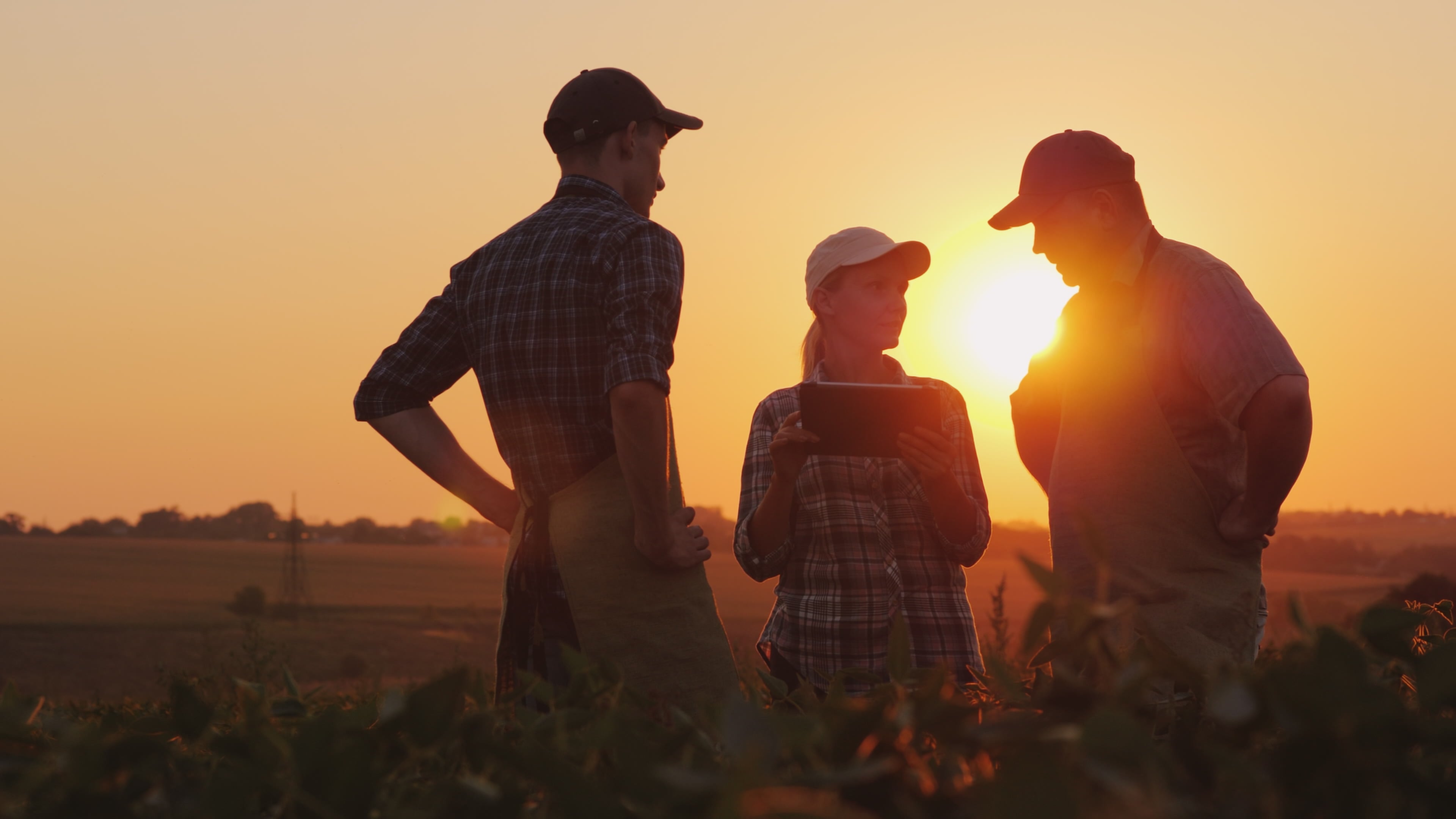 Three person talking in a field with a woman showing to one of the perosn something on a tablet
